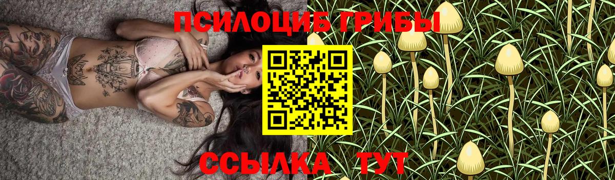 Псилоцибиновые грибы прущие грибы Кулебаки