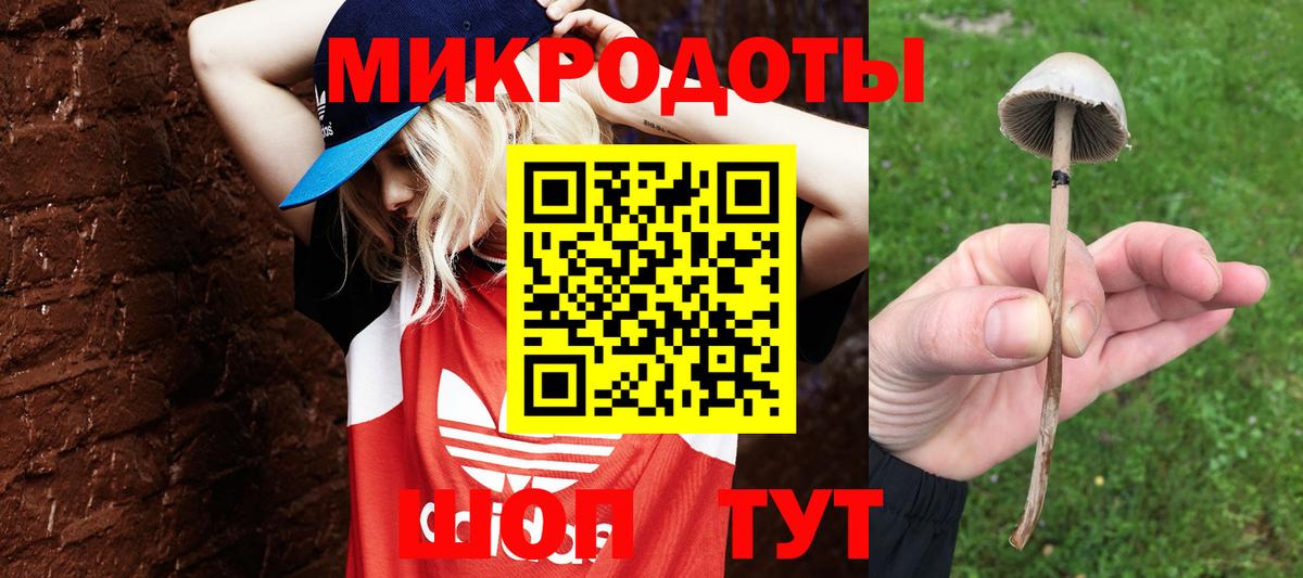 Галлюциногенные грибы мицелий Кулебаки