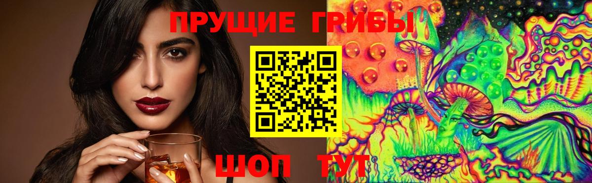 Кулебаки  Псилоцибиновые грибы GOLDEN TEACHER  Вход с VPN 